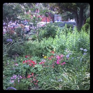 Meet your Posher, Serena